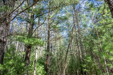Build Your Dream Home or Getaway Near Castle Rock Lake! Discover - photo 9
