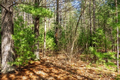 Build Your Dream Home or Getaway Near Castle Rock Lake! Discover - photo 10