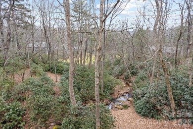 Exceptional luxury home situated on 2 private acres overlooking - photo 41