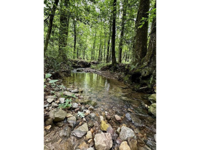 Lake Acreage For Sale in Wickes, Arkansas