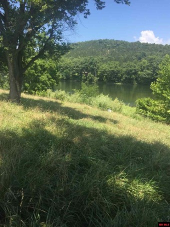 (private lake, pond, creek) Lot For Sale in Flippin Arkansas