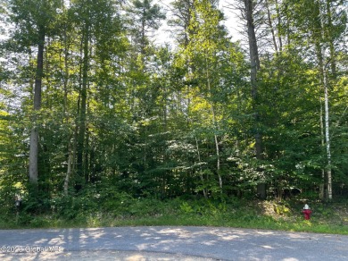 Second Lake Lot For Sale in Lake Luzerne New York