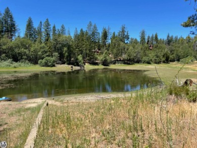(private lake, pond, creek) Lot For Sale in Coulterville California