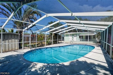 This lovely Saint Petersburg home is centrally located with easy - photo 3