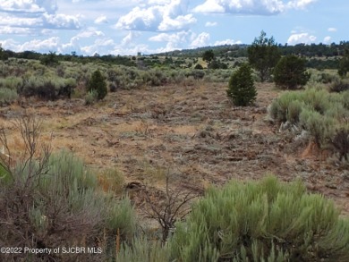 Navajo Reservoir Acreage For Sale in Middle Mesa New Mexico