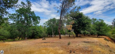 Beautiful Pine Mountain Lake Double Lot: Nearly level, Easy - Lake Lot For Sale in Groveland, California