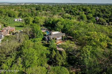Twin Leaf | A Landmark Glenview Estate Inspired by Monticello - photo 2