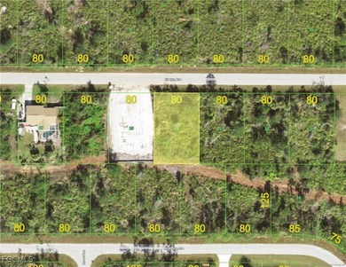 Port Charlotte Waterway Area Lot For Sale in Port Charlotte Florida