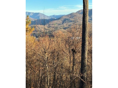 Lake Chatuge Lot For Sale in Hayesville North Carolina