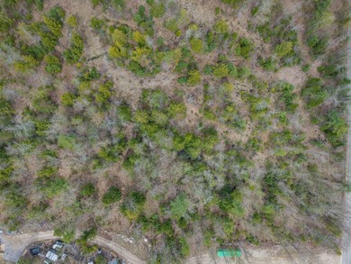 6.78 wooded acres in Lebanon which could be subdivided into 2-3 - photo 11