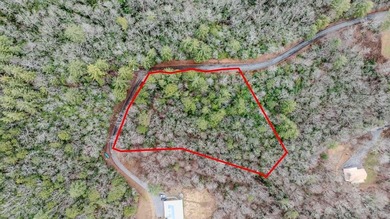 Lake Chatuge Acreage For Sale in Hayesville North Carolina