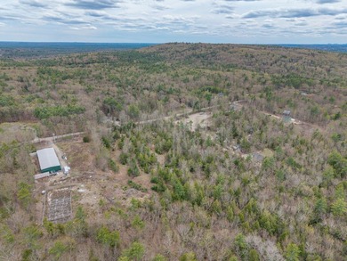 6.78 wooded acres in Lebanon which could be subdivided into 2-3 - photo 15