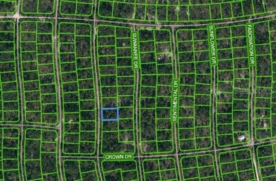 Lake Grassy Lot For Sale in Lake Placid Florida