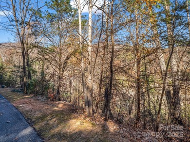 Lake Lot For Sale in Lake Lure, North Carolina