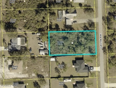 Lehigh Acres Area Lot For Sale in Lehigh Acres Florida