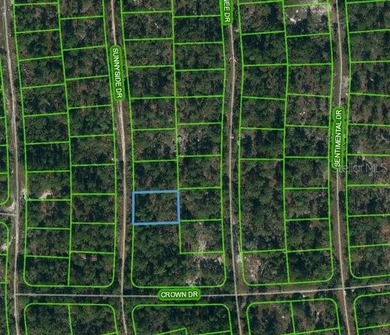 Lake Grassy Lot For Sale in Lake Placid Florida