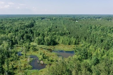 (private lake, pond, creek) Acreage For Sale in Starkville Mississippi