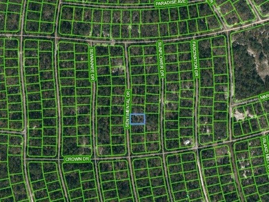 Lake Grassy Lot For Sale in Lake Placid Florida