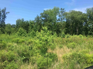 Lake Lot For Sale in Edgemont, Arkansas