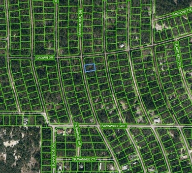 Lake Grassy Lot For Sale in Lake Placid Florida