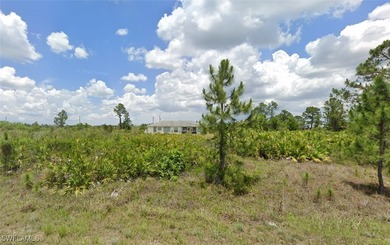 Lehigh Acres Area Lot For Sale in Lehigh Acres Florida