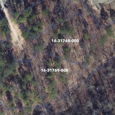 Lake Lot For Sale in Bella Vista, Arkansas