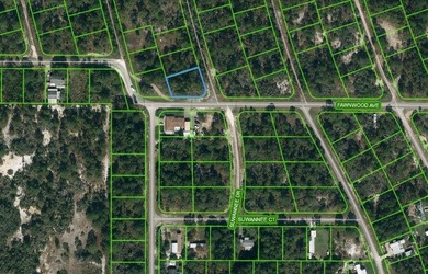 Lake Grassy Lot For Sale in Lake Placid Florida