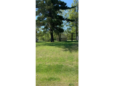 Build your dream on Leech Lake! This is a picture perfect - photo 16