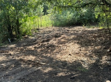 Lehigh Acres Area Lot For Sale in Lehigh Acres Florida