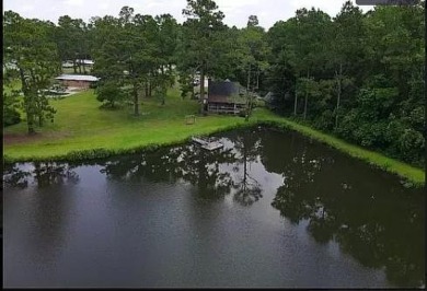 (private lake, pond, creek) Home For Sale in Swainsboro Georgia