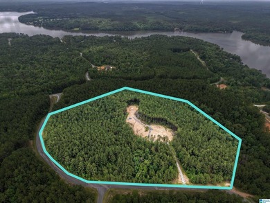 Total of 16 acres, already cleared for easy access and - photo 2