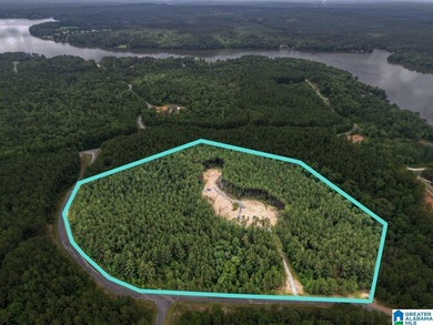 Total of 16 acres, already cleared for easy access and - photo 4