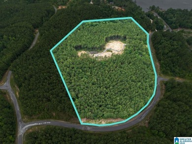 Total of 16 acres, already cleared for easy access and - photo 5
