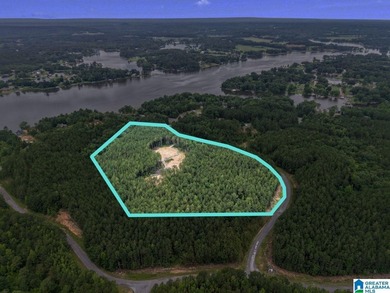 Total of 16 acres, already cleared for easy access and - photo 6