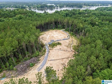 Total of 16 acres, already cleared for easy access and - photo 9