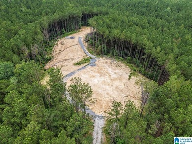 Total of 16 acres, already cleared for easy access and - photo 10
