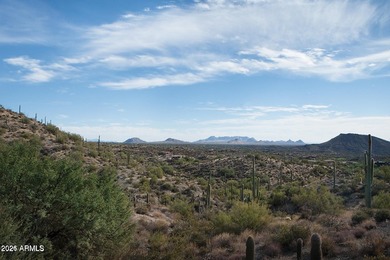 This 6-acre parcel is one of a select few premier lots remaining - photo 11