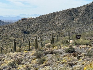 This 6-acre parcel is one of a select few premier lots remaining - photo 12