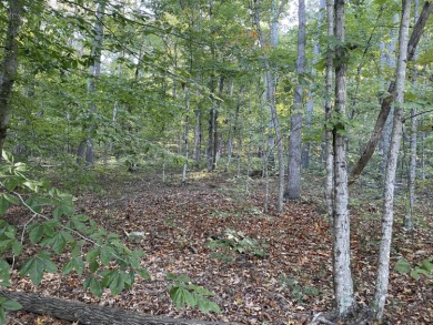 3.26 Acres of nicely wooded property.  Build your Cabin in the - Lake Acreage For Sale in Somerset, Kentucky