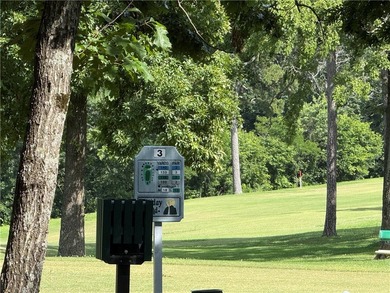 New construction opportunities offering both golf course views - photo 27