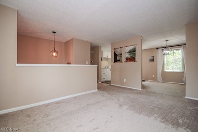 Resort-style living in a beautiful lake community! Enjoy all - photo 5