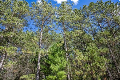 Build Your Dream Home or Getaway Near Castle Rock Lake! Discover - photo 5