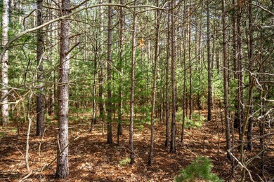 Build Your Dream Home or Getaway Near Castle Rock Lake! Discover - photo 7