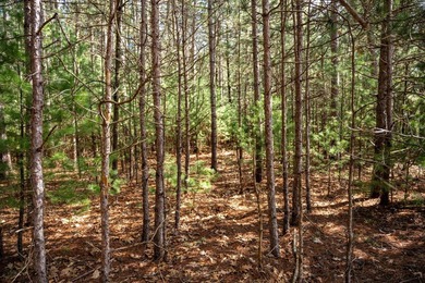 Build Your Dream Home or Getaway Near Castle Rock Lake! Discover - photo 8