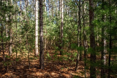 Build Your Dream Home or Getaway Near Castle Rock Lake! Discover - photo 9