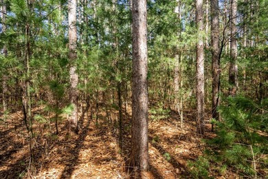 Build Your Dream Home or Getaway Near Castle Rock Lake! Discover - photo 10