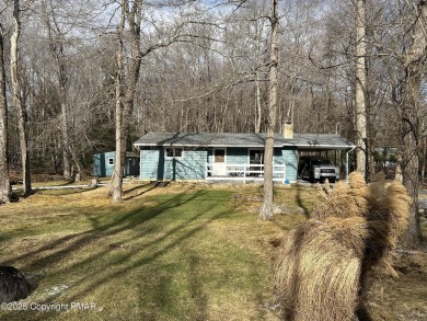 Lake Home For Sale in Albrightsville, Pennsylvania