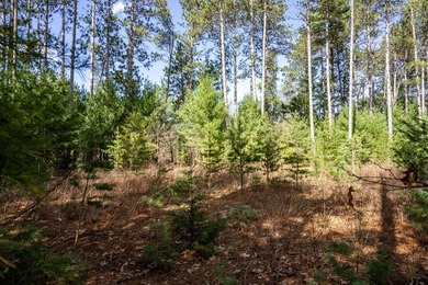 Build Your Dream Home or Getaway Near Castle Rock Lake! Discover - photo 4