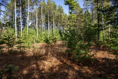 Build Your Dream Home or Getaway Near Castle Rock Lake! Discover - photo 5