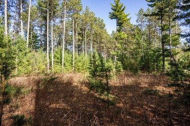Build Your Dream Home or Getaway Near Castle Rock Lake! Discover - photo 6